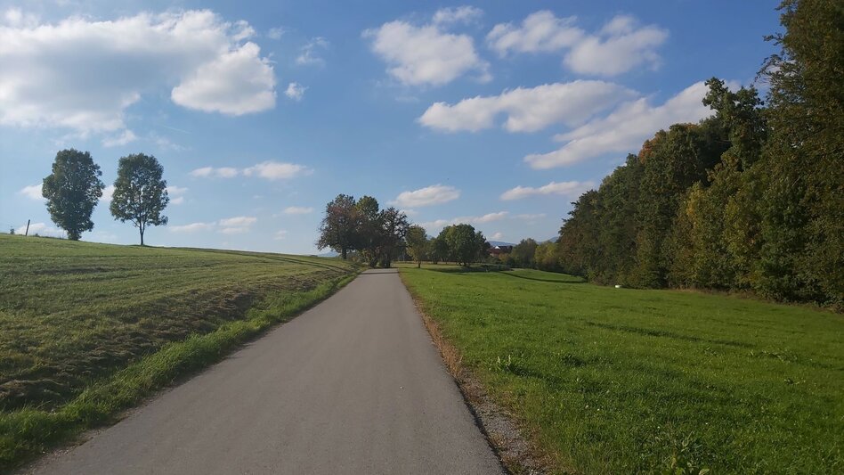 Bike Riding Panoramic tour, St. Ruprecht an der Raab - Weiz - Touren-Impression #2.7 | © Oststeiermark Tourismus