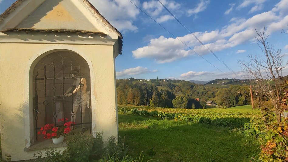 Bike Riding Panoramic tour, St. Ruprecht an der Raab - Weiz - Touren-Impression #2.8 | © Oststeiermark Tourismus