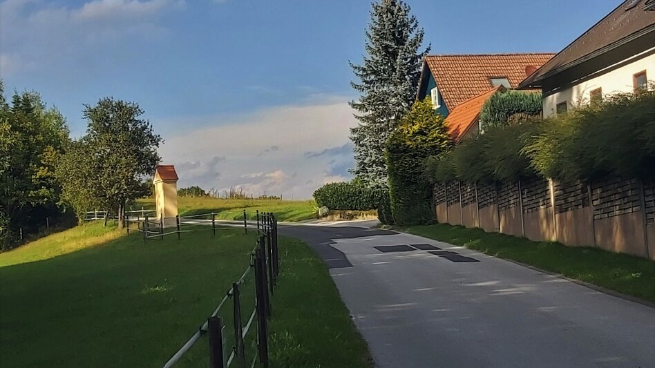 Bike Riding Panoramic tour, St. Ruprecht an der Raab - Weiz - Touren-Impression #2.19 | © Oststeiermark Tourismus