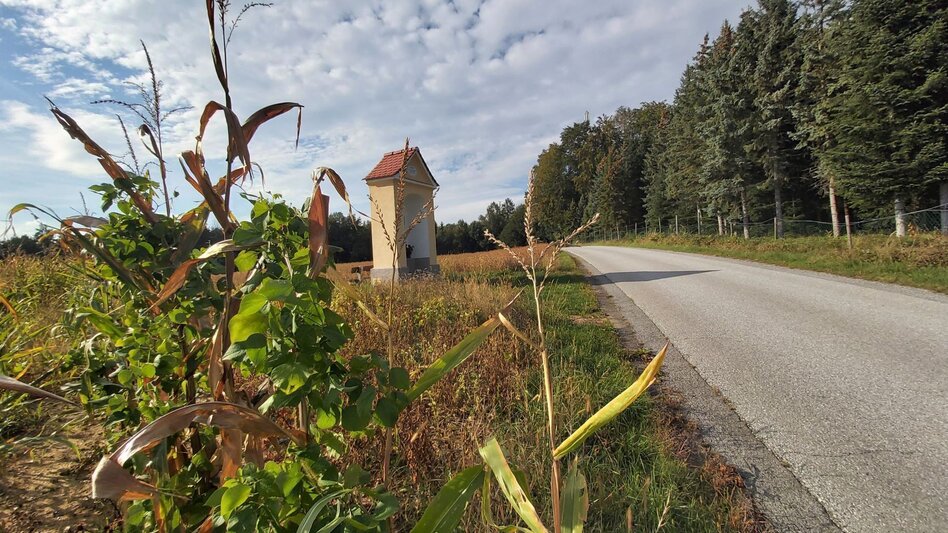 Bike Riding Panoramic tour, St. Ruprecht an der Raab - Weiz - Touren-Impression #2.18 | © Oststeiermark Tourismus