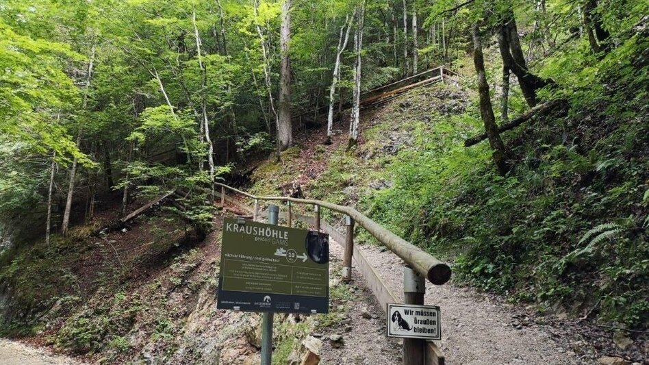 Hiking route Landler Country walk #4 Krautgrabenrunde - Touren-Impression #2.6 | © TV Gesäuse