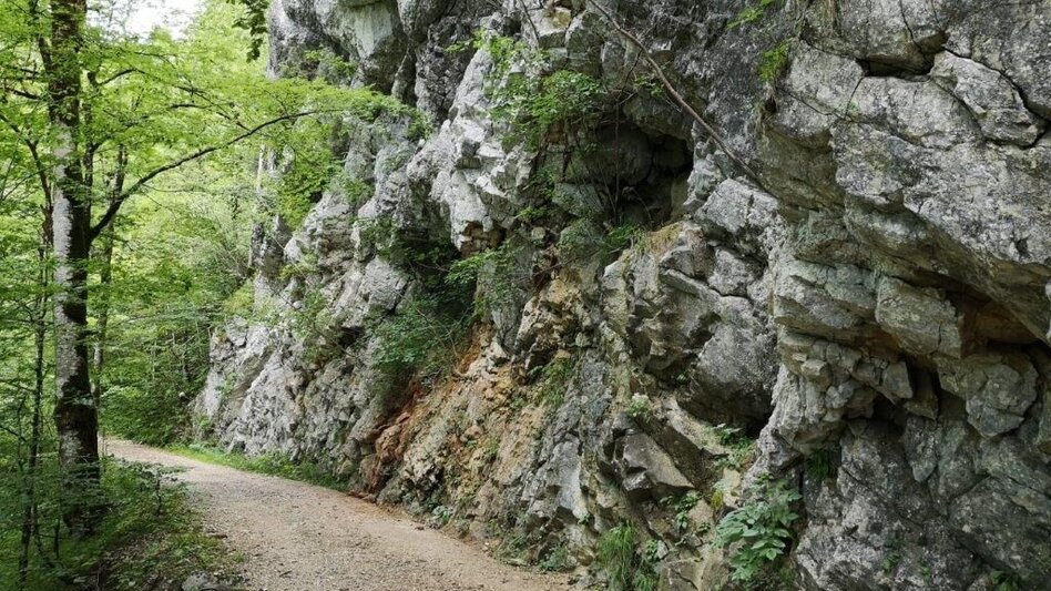 Hiking route Landler Country walk #4 Krautgrabenrunde - Touren-Impression #2.7 | © TV Gesäuse
