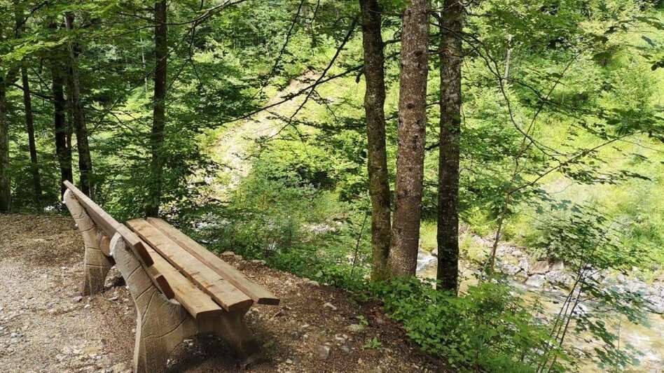 Hiking route Landler Country walk #4 Krautgrabenrunde - Touren-Impression #2.8 | © TV Gesäuse