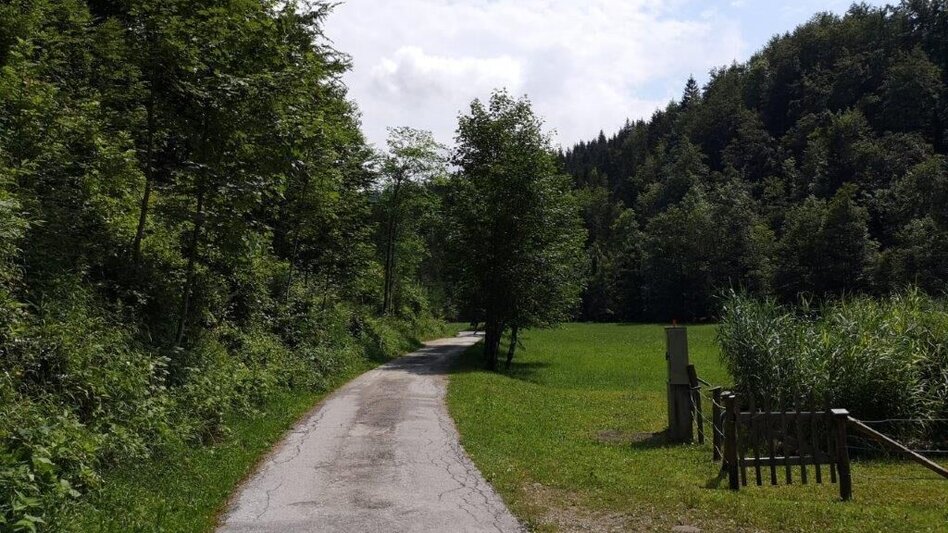 Hiking route Landler Country walk #4 Krautgrabenrunde - Touren-Impression #2.9 | © TV Gesäuse