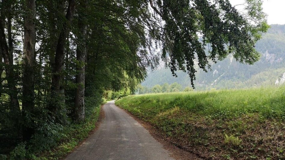 Hiking route Landler Country walk #6 - Touren-Impression #2.4 | © TV Gesäuse
