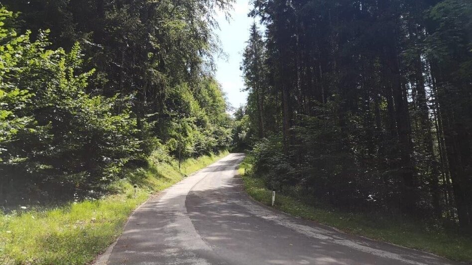 Hiking route Landler Country walk #6 - Touren-Impression #2.5 | © TV Gesäuse