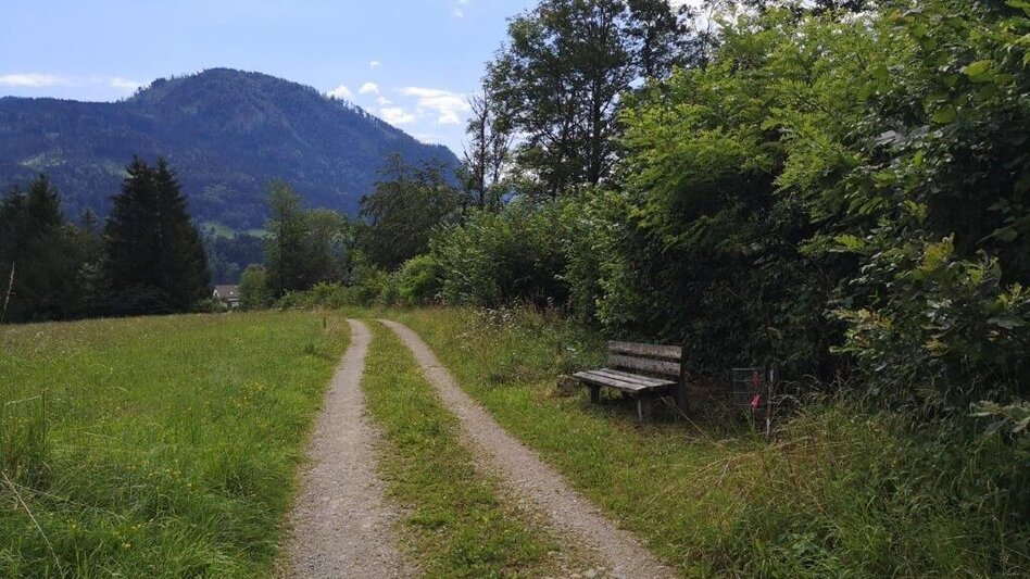 Hiking route Landler Country walk #6 - Touren-Impression #2.8 | © TV Gesäuse