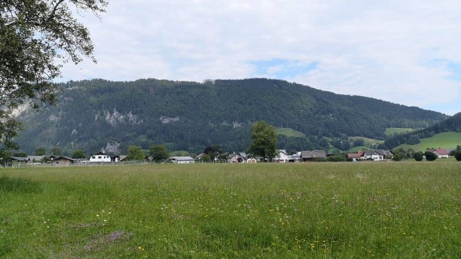 Hiking route Landler Country walk #6 - Touren-Impression #2.9 | © TV Gesäuse