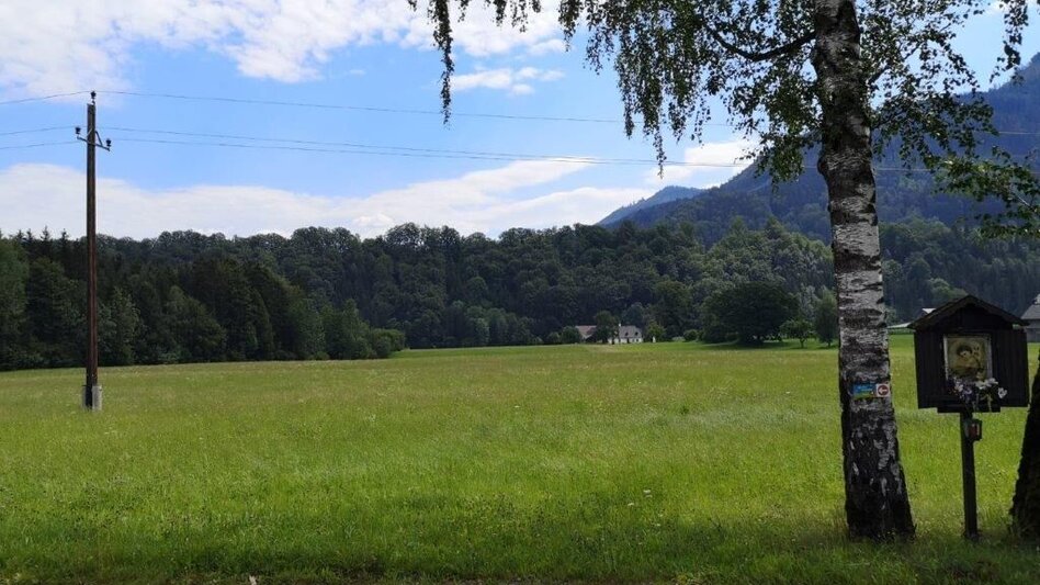 Hiking route Landler Country walk #6 - Touren-Impression #2.10 | © TV Gesäuse