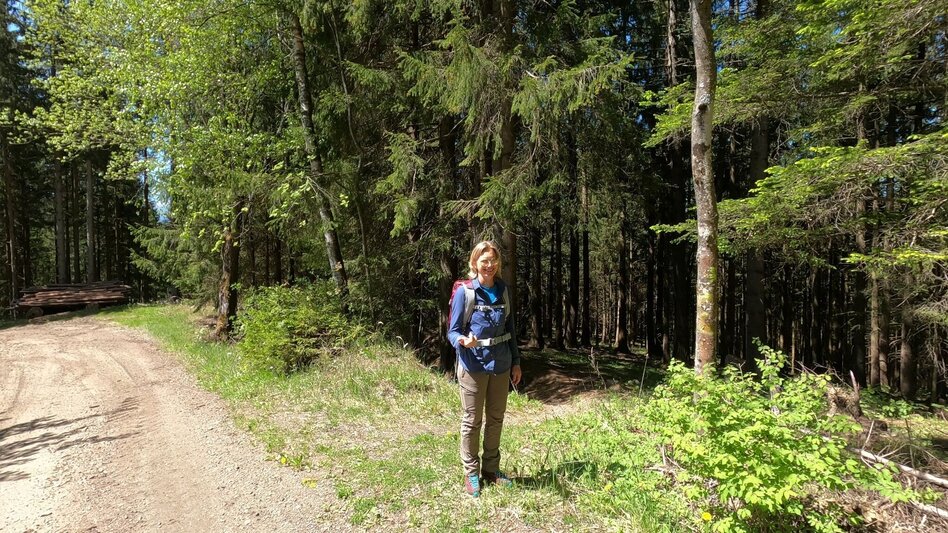 Hiking route Steinplan via Kalchbauer - Touren-Impression #2.3 | © WEGES OG