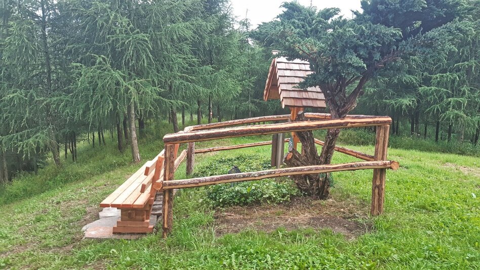 Hiking route Steinplan via Kalchbauer - Touren-Impression #2.5 | © WEGES OG