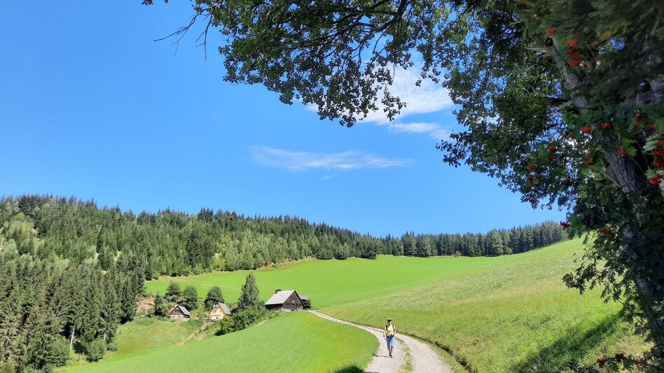 Hiking route Steinplan via Kalchbauer - Touren-Impression #2.1 | © WEGES OG