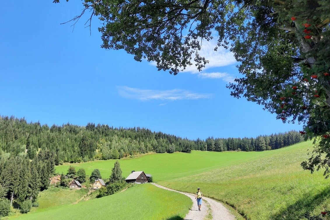 Hiking route Steinplan via Kalchbauer - Touren-Impression #1 | © WEGES OG