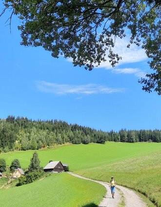 Aussichtsreich, im Hintergrund vlg. Hirkl | WEGES OG | © WEGES OG