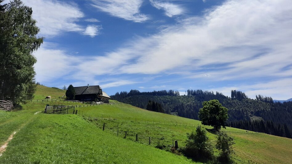 Hiking route Steinplan via Kalchbauer - Touren-Impression #2.6 | © WEGES OG