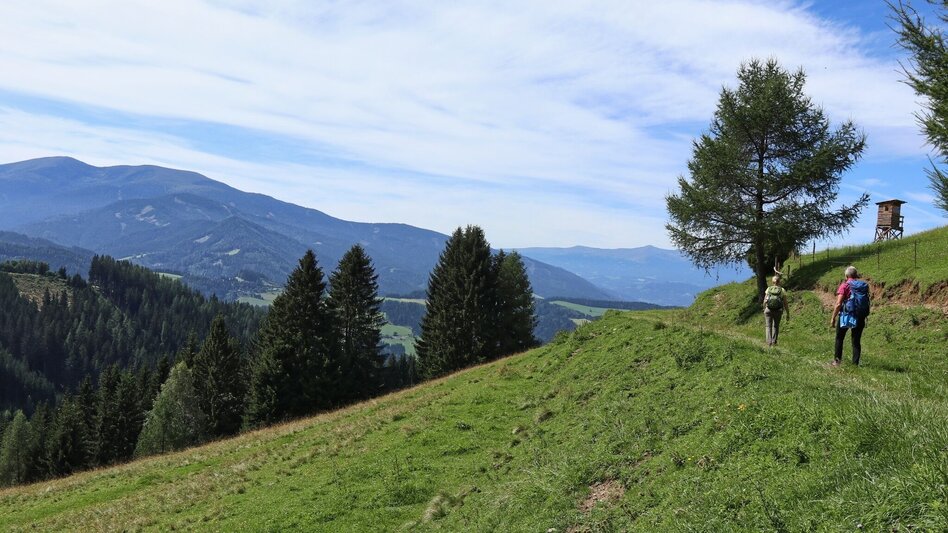 Hiking route Steinplan via Kalchbauer - Touren-Impression #2.7 | © WEGES OG