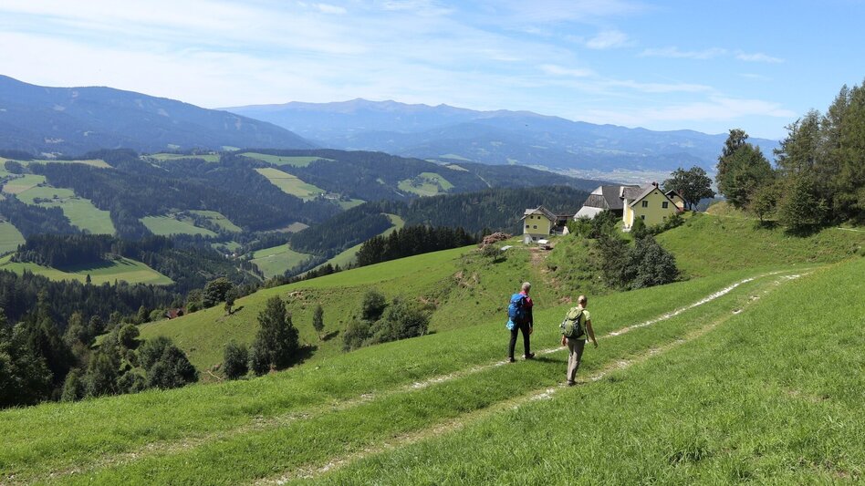 Hiking route Steinplan via Kalchbauer - Touren-Impression #2.9 | © WEGES OG
