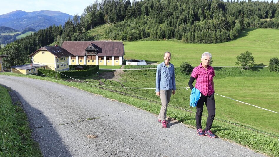 Hiking route Lobmingtaler Höhenweg - A long-distance hike from Großlobming to Kleinlobming - Touren-Impression #2.5 | © WEGES OG