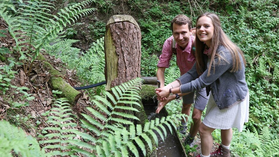 Hiking route Lobmingtaler Höhenweg - A long-distance hike from Großlobming to Kleinlobming - Touren-Impression #2.10 | © WEGES OG