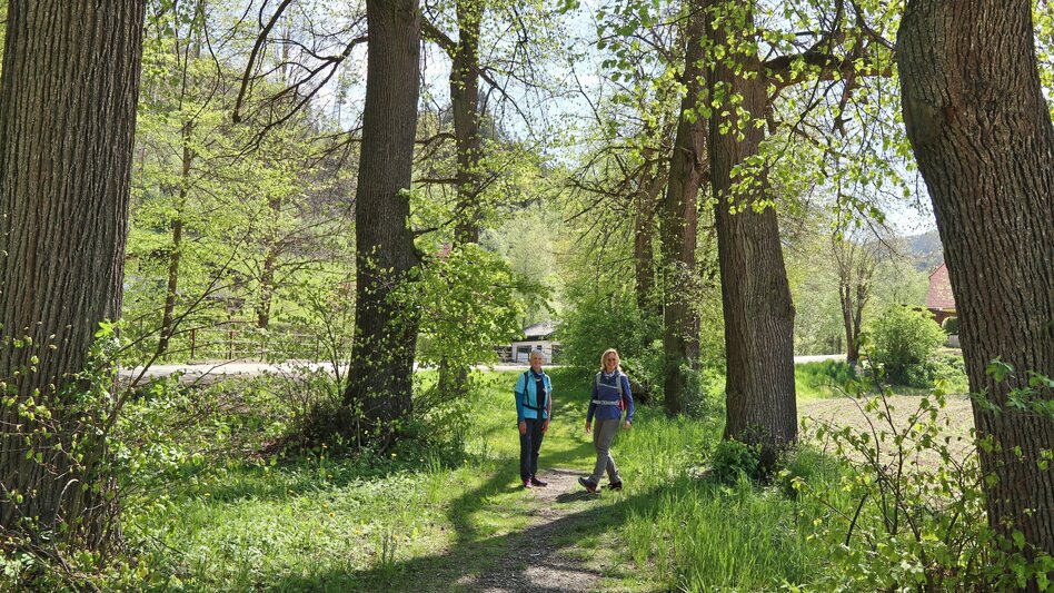 Hiking route Hunter's cross on the Lobmingtaler-Rosenkogel - Touren-Impression #2.2 | © WEGES OG