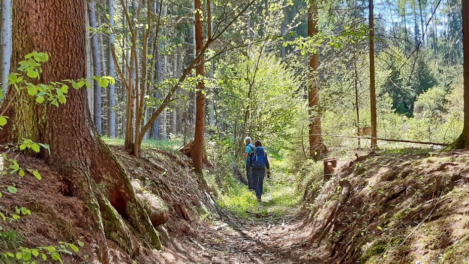 Hiking route Hunter's cross on the Lobmingtaler-Rosenkogel - Touren-Impression #2.3 | © WEGES OG