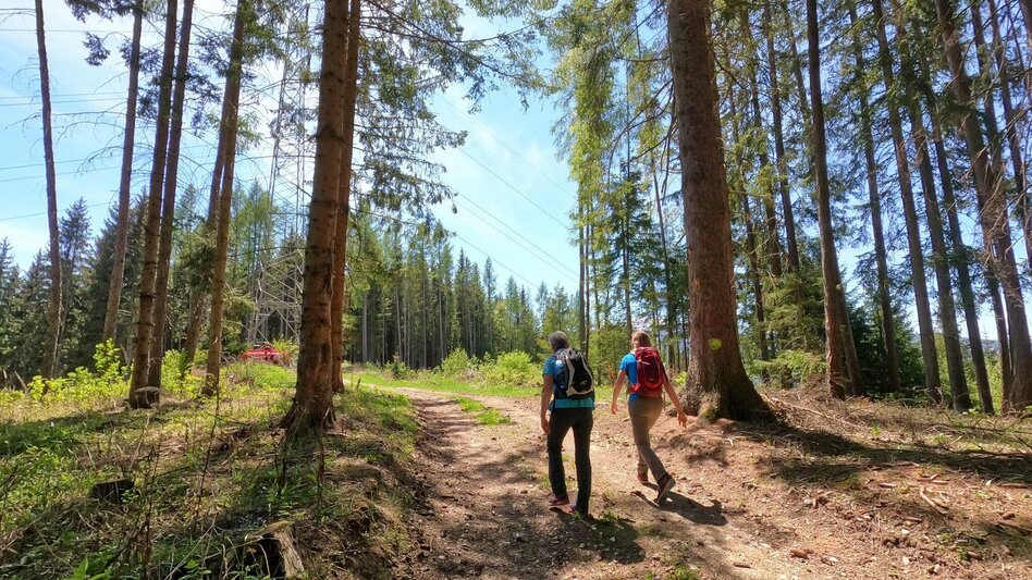 Hiking route Hunter's cross on the Lobmingtaler-Rosenkogel - Touren-Impression #2.4 | © WEGES OG
