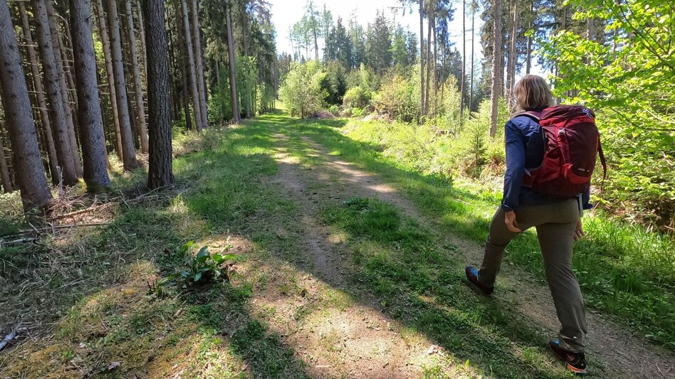Hiking route Hunter's cross on the Lobmingtaler-Rosenkogel - Touren-Impression #2.7 | © WEGES OG