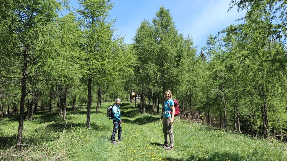 Hiking route Hunter's cross on the Lobmingtaler-Rosenkogel - Touren-Impression #2.8 | © WEGES OG
