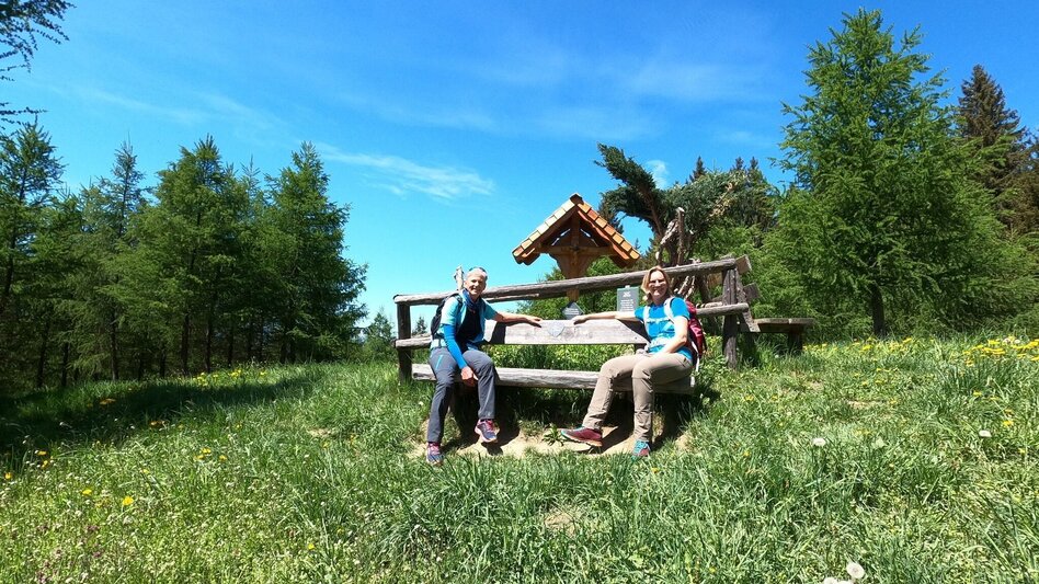 Hiking route Hunter's cross on the Lobmingtaler-Rosenkogel - Touren-Impression #2.9 | © WEGES OG