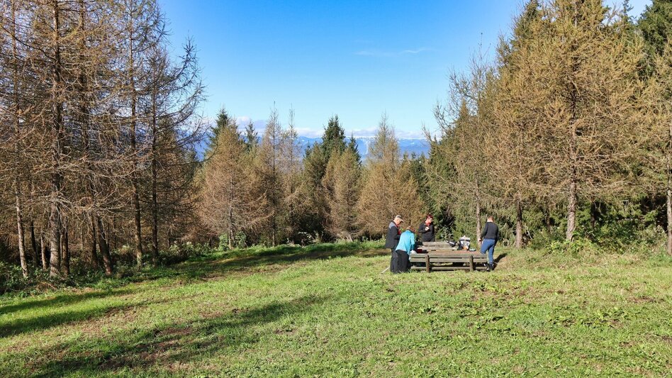 Hiking route Hunter's cross on the Lobmingtaler-Rosenkogel - Touren-Impression #2.10 | © WEGES OG