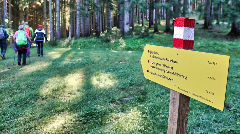 Hiking route Hunter's cross on the Lobmingtaler-Rosenkogel - Touren-Impression #2.6 | © WEGES OG
