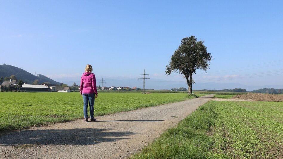 Hiking route Grosslobming field circuit - Touren-Impression #2.4 | © WEGES OG