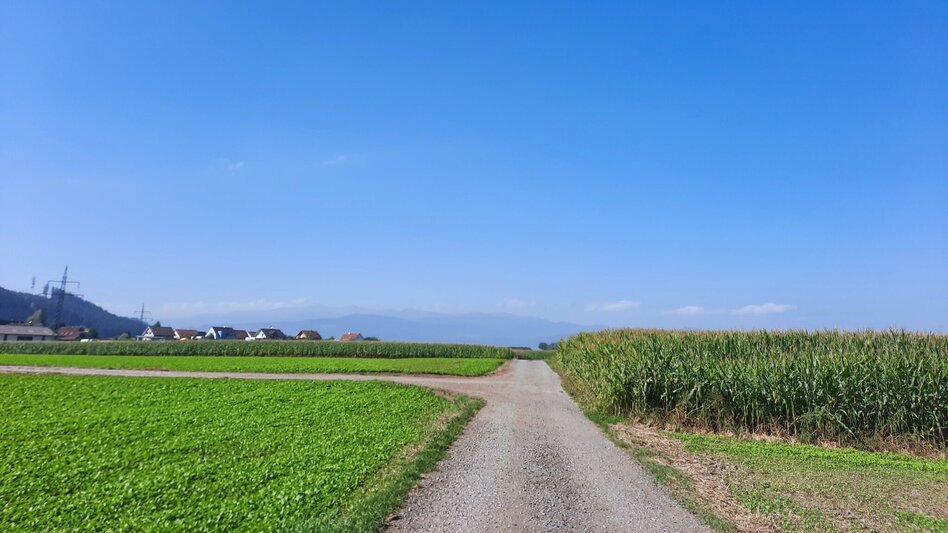 Hiking route Grosslobming field circuit - Touren-Impression #2.6 | © WEGES OG