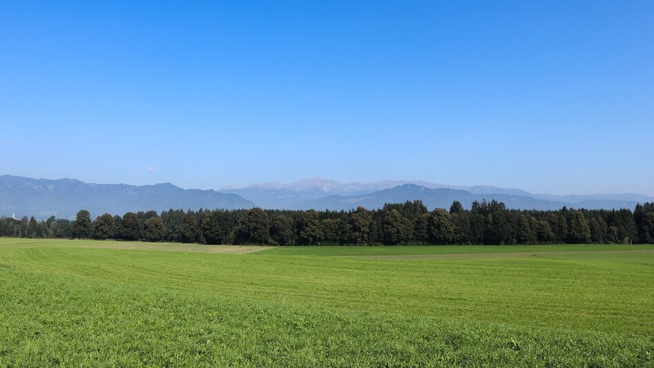 Hiking route Grosslobming field circuit - Touren-Impression #2.7 | © WEGES OG