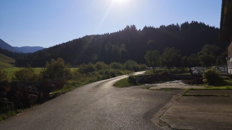 Wanderung Landler Spazierweg #7 Radstattrunde - Touren-Impression #2.3 | © TV Gesäuse