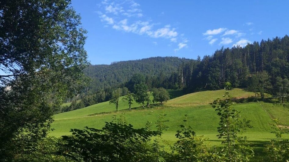 Wanderung Landler Spazierweg #7 Radstattrunde - Touren-Impression #2.5 | © TV Gesäuse