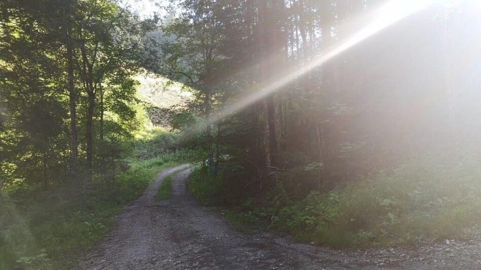 Wanderung Landler Spazierweg #7 Radstattrunde - Touren-Impression #2.6 | © TV Gesäuse