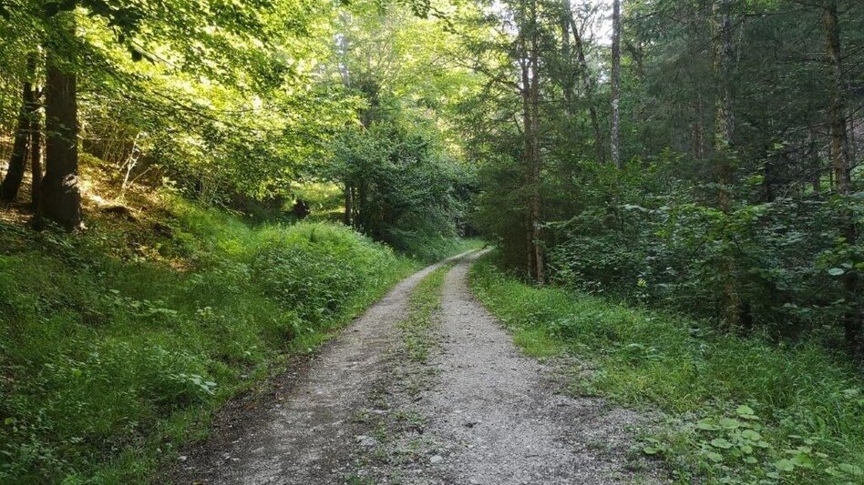 Wanderung Landler Spazierweg #7 Radstattrunde - Touren-Impression #2.8 | © TV Gesäuse