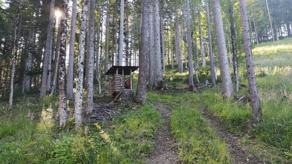 Wanderung Landler Spazierweg #7 Radstattrunde - Touren-Impression #2.9 | © TV Gesäuse