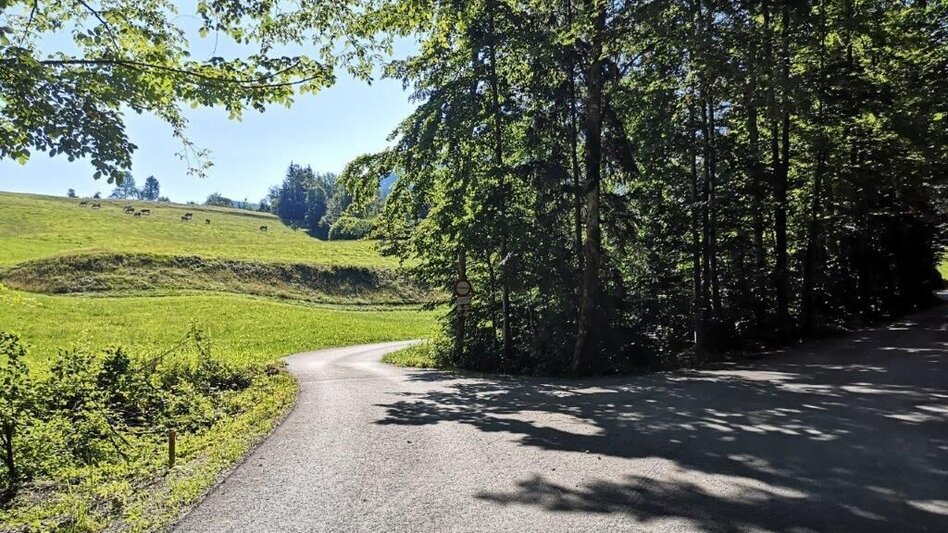 Hiking route Landler Country walk #6 - Touren-Impression #2.1 | © TV Gesäuse