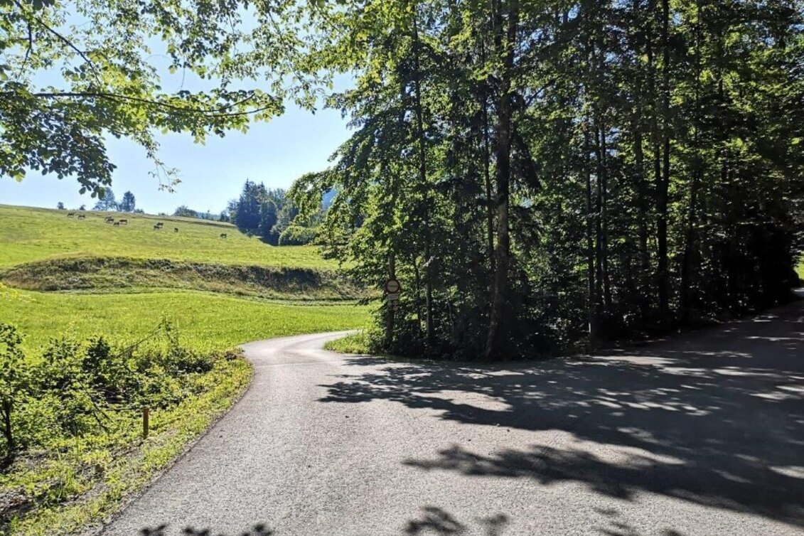 Hiking route Landler Country walk #6 - Touren-Impression #1 | © TV Gesäuse