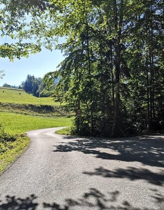 Abzweigung auf die Sulza | Tourismusverband Gesäuse | © TV Gesäuse