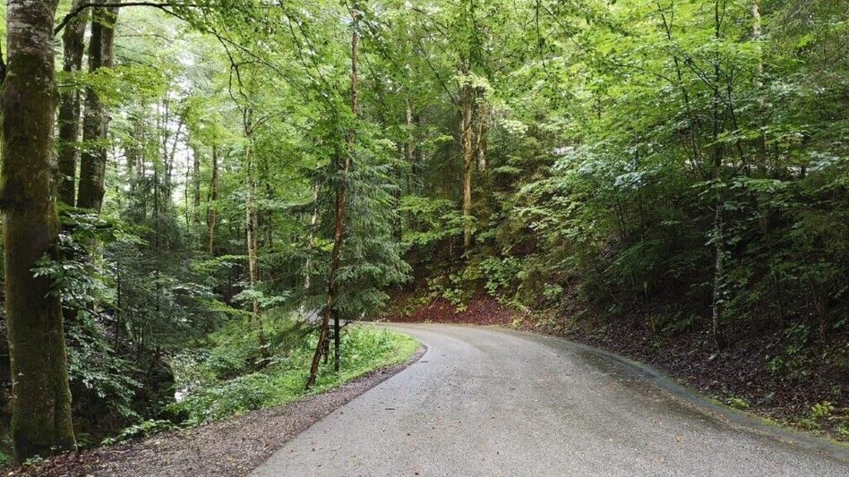 Hiking route Landler Country walk #6 - Touren-Impression #2.4 | © TV Gesäuse