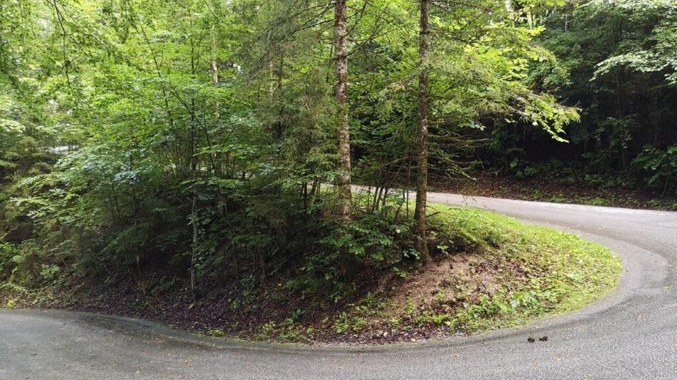 Hiking route Landler Country walk #6 - Touren-Impression #2.5 | © TV Gesäuse