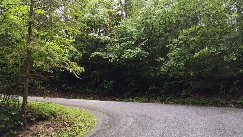 Hiking route Landler Country walk #6 - Touren-Impression #2.6 | © TV Gesäuse