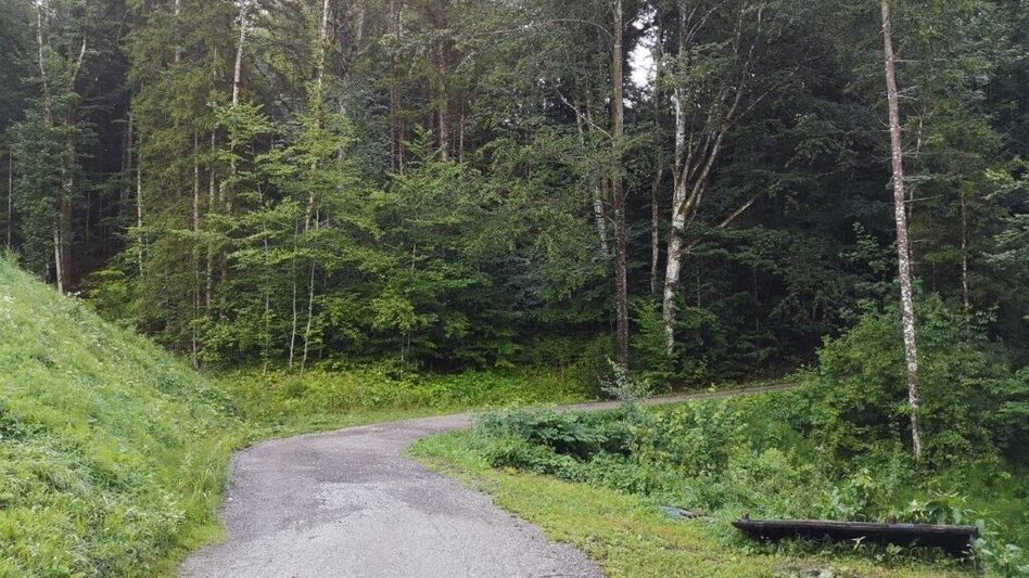 Hiking route Landler Country walk #6 - Touren-Impression #2.9 | © TV Gesäuse