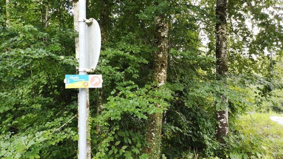 Hiking route Landler Country walk #6 - Touren-Impression #2.10 | © TV Gesäuse