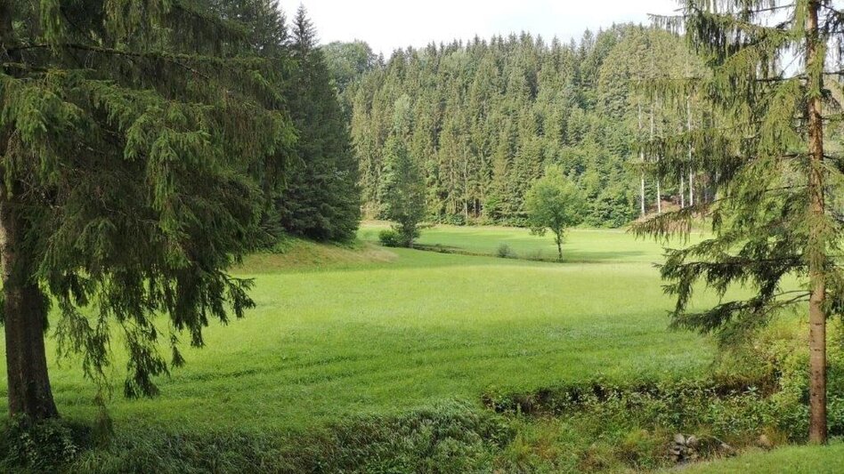 Hiking route Landler Country walk #6 - Touren-Impression #2.11 | © TV Gesäuse