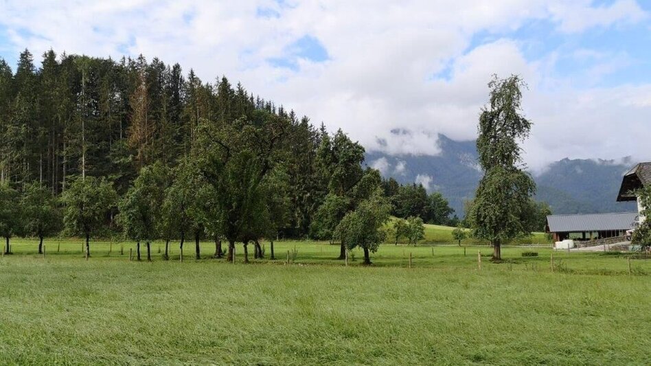 Hiking route Landler Country walk #6 - Touren-Impression #2.13 | © TV Gesäuse