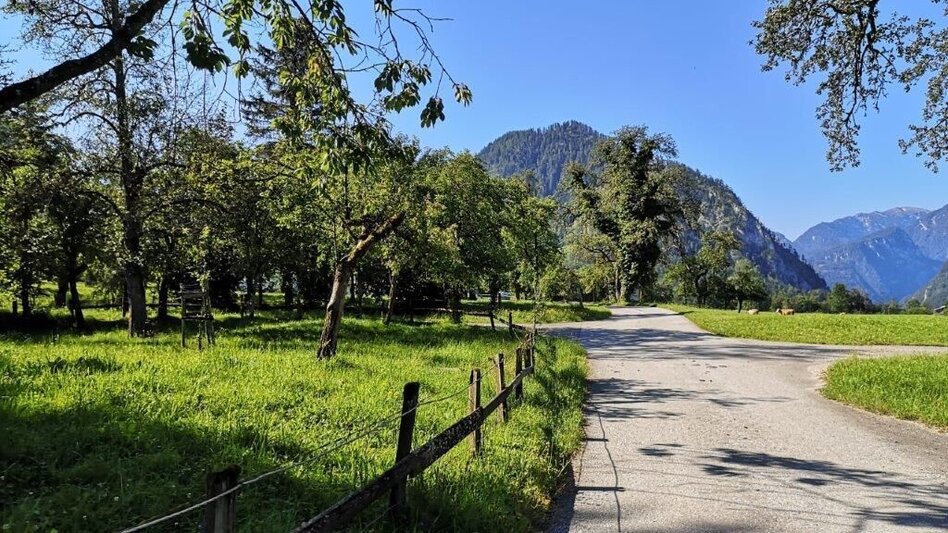 Hiking route Landler Country walk #9 - Touren-Impression #2.7 | © TV Gesäuse